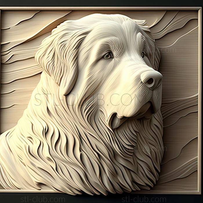 st Pyrenean Mountain dog